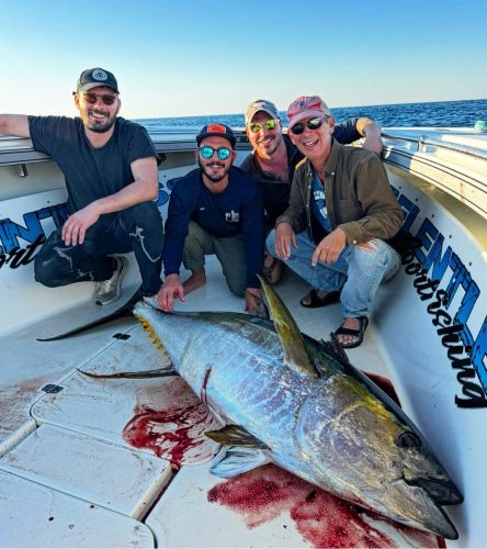 963C55BA-D7D4-485B-9665-AD178614D9EC